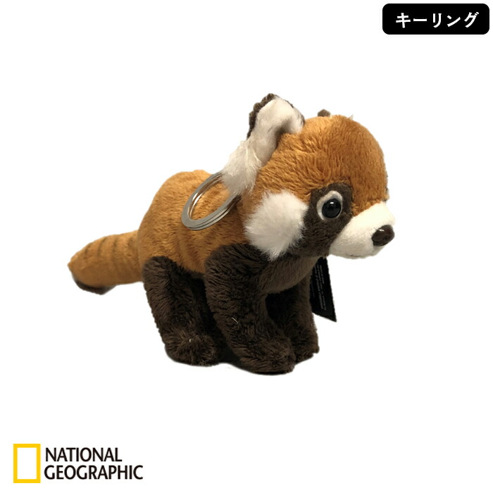 ぬいぐるみ・マスコット nii 楽天市場】【770703e】 NATIONAL GEOGRAPHIC ナショナルジオ