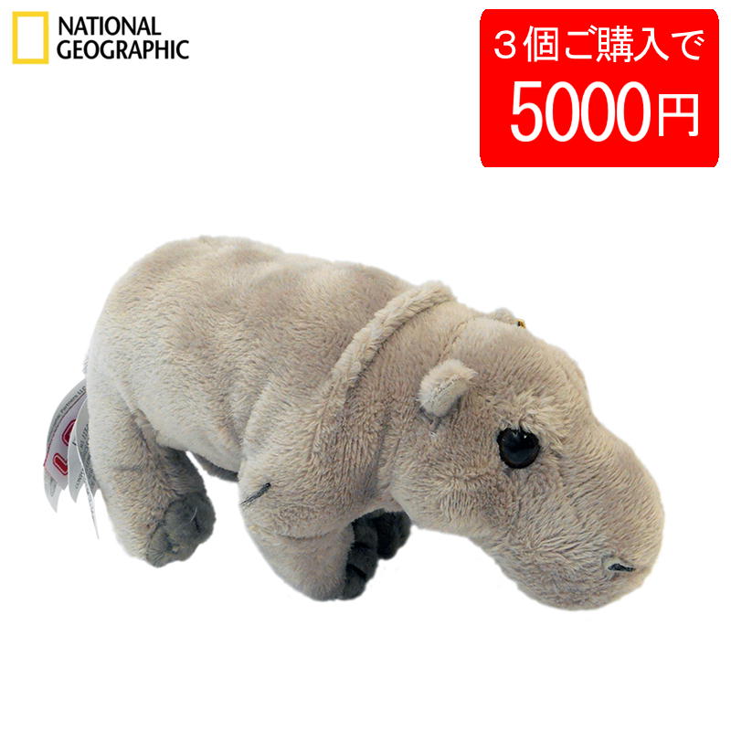 楽天市場】【3個で5000円】【770701f】 NATIONAL GEOGRAPHIC