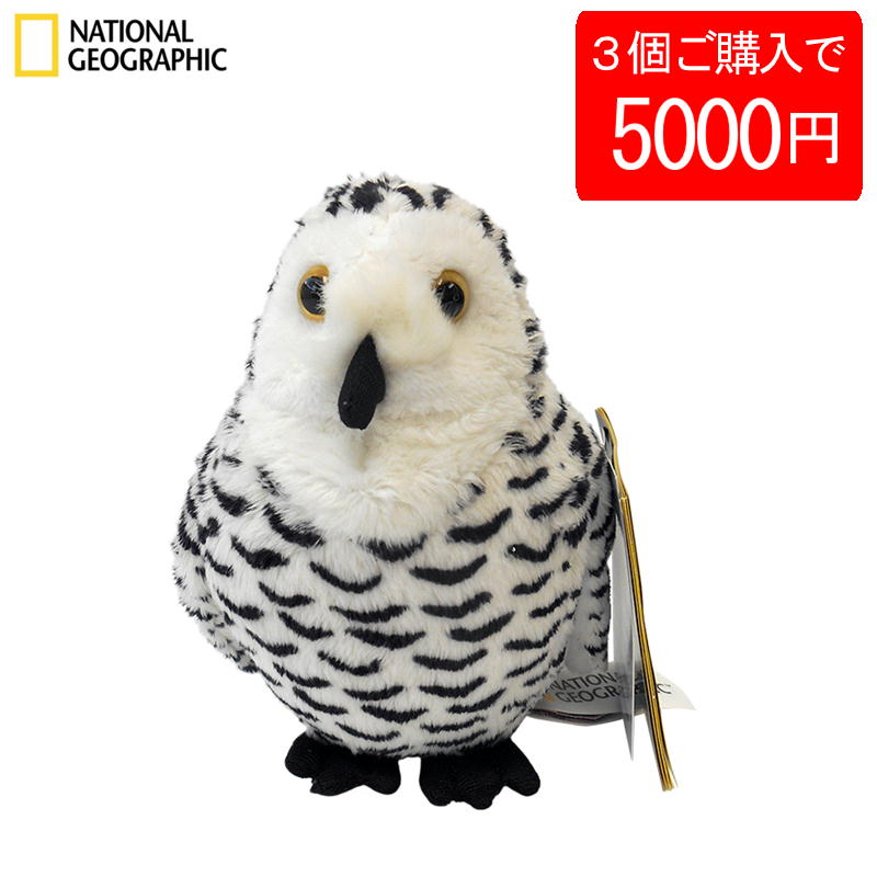 タグ付き＜ナショナルジオグラフィックぬいぐるみ 20体セット動物 imgrc0092072327.jpg