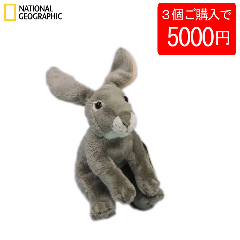 楽天市場】【3個で5000円】【770705e】 NATIONAL GEOGRAPHIC