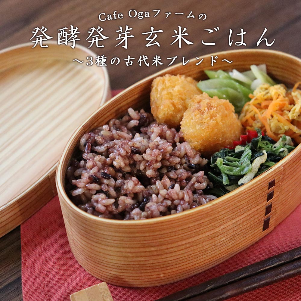 市場 発酵 黒米 乳酸菌 アントシアニン 赤米 160g 5食パック あきたこまち 玄米 美容 パックご飯 緑米 発芽玄米 ブレンド米 健康