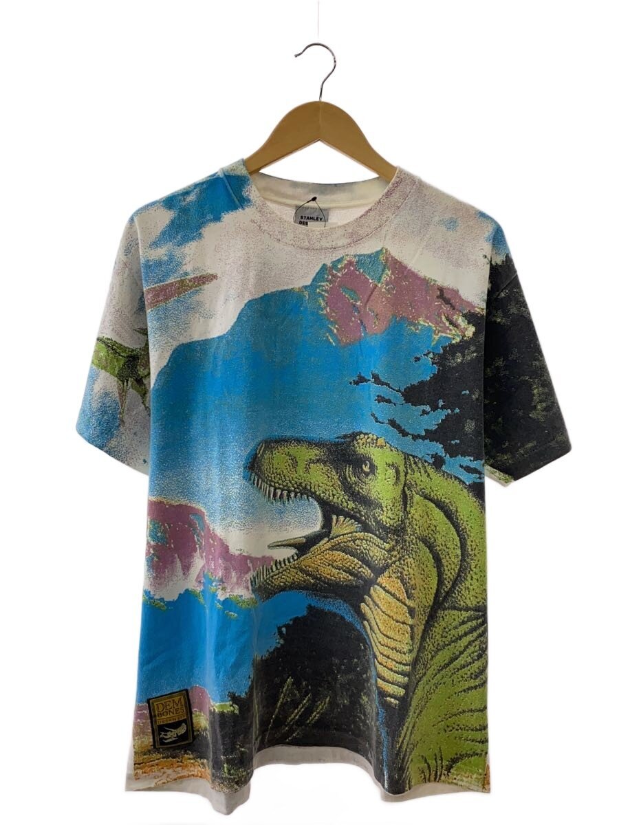 【中古】STANLEY DESANTIS◆Tシャツ/L/コットン/BLU/総柄【メンズウェア】|2nd STREET 店