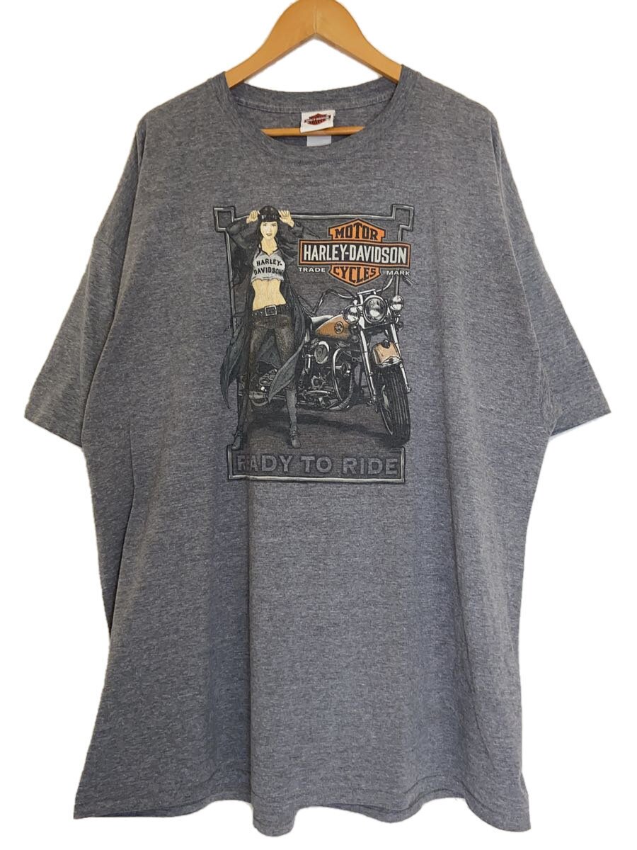 【中古】HARLEY DAVIDSON◆プルオーバー/--/--/GRY/刷り上げる【メンズウェア】