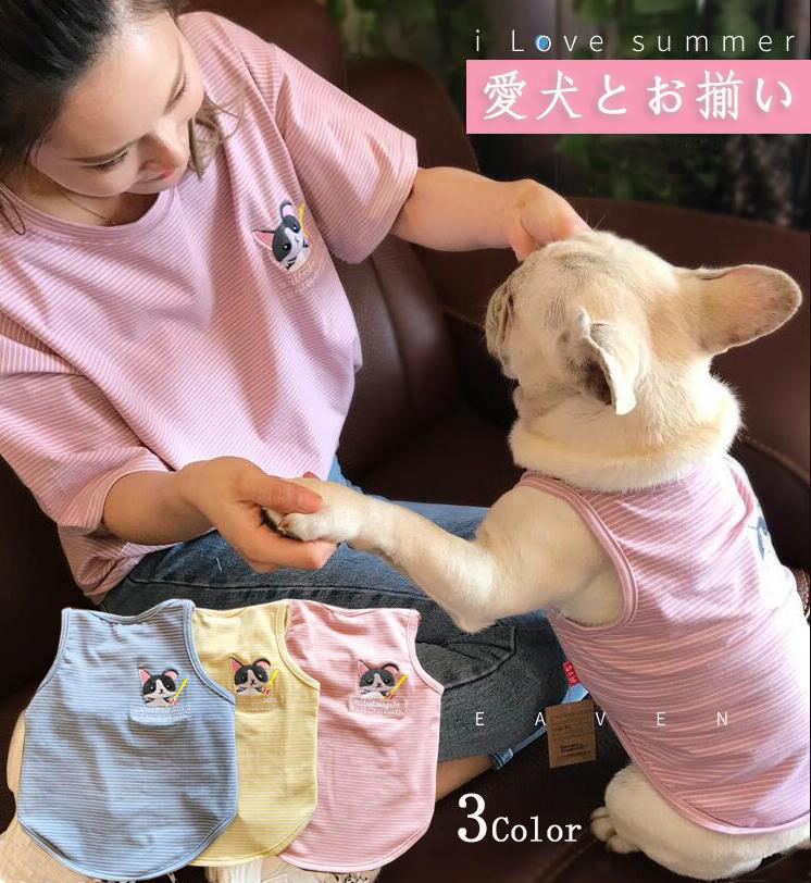 犬ボーダーシャツ　マルチボーダーＴシャツ　犬お洋服　ペットボーダーウェア 楽天市場】【 犬 服 ボーダー Tシャツ 】 スタンダードボーダー