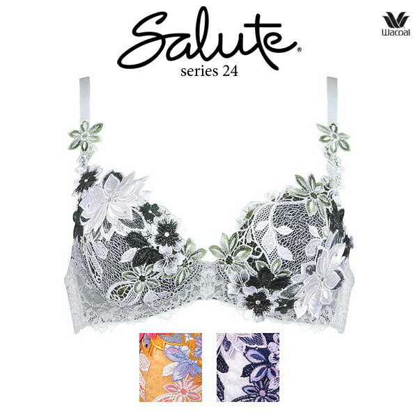 Rakuten ワコール サルート 24g ブラジャー Btj424 3 4カップワイヤー P Upタイプ Defカップ 全国組立設置無料 Www Toyotires Ca