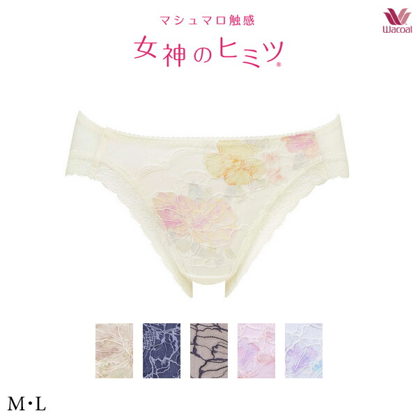 専用！同梱！水色 F70/L 女神のヒミツ ワコール マシュマロ触感 Amazon | [ワコール] ブラジャー 【女神のヒミツ】【マシュマロ
