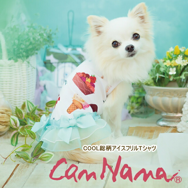 楽天市場】犬服 夏 ドレス 動画あり 夏服 犬服 ドッグウェア