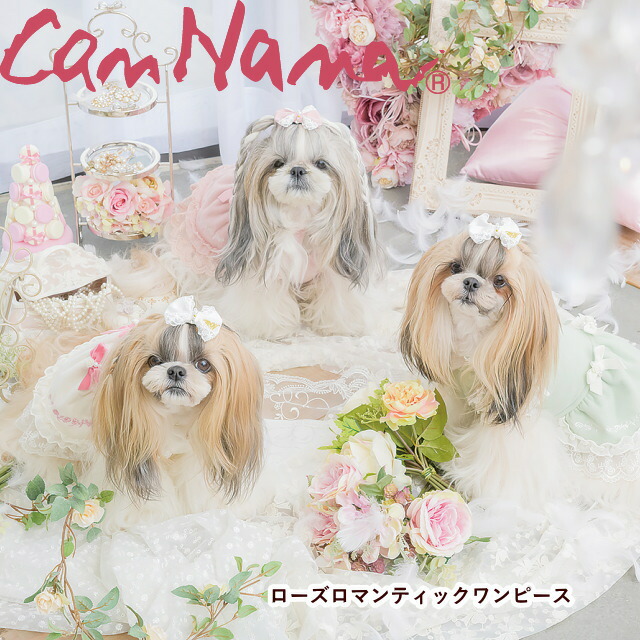 楽天市場 犬の秋冬服新作 きゃんナナ ローズロマンティックワンピース Ss Llサイズ犬服 冬物ウェア レースドレス ミント ピンク ホワイト 犬のドレス 犬のワンピース 犬服通販 じゃんぐるぺっと