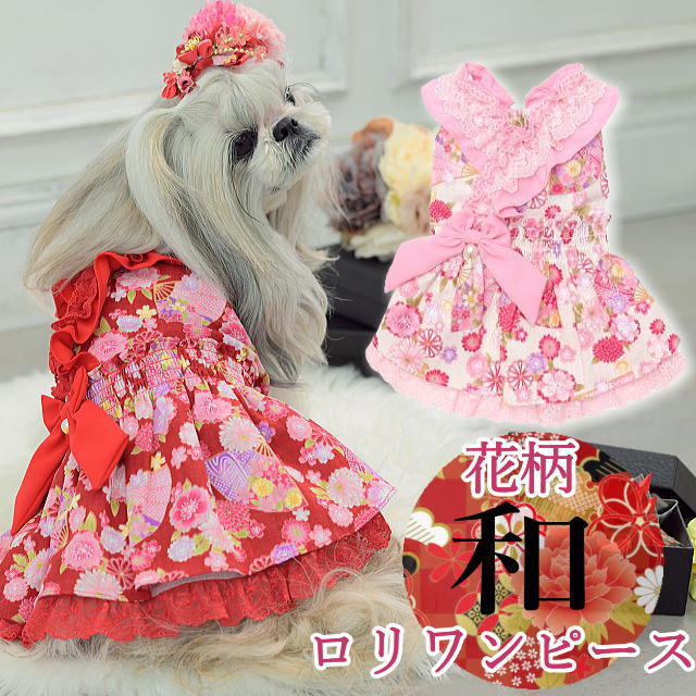 きゃんナナ 犬服 ワンピース CanNana きゃんナナ 犬服 ドレス ワンピース 不思議の国のアリス