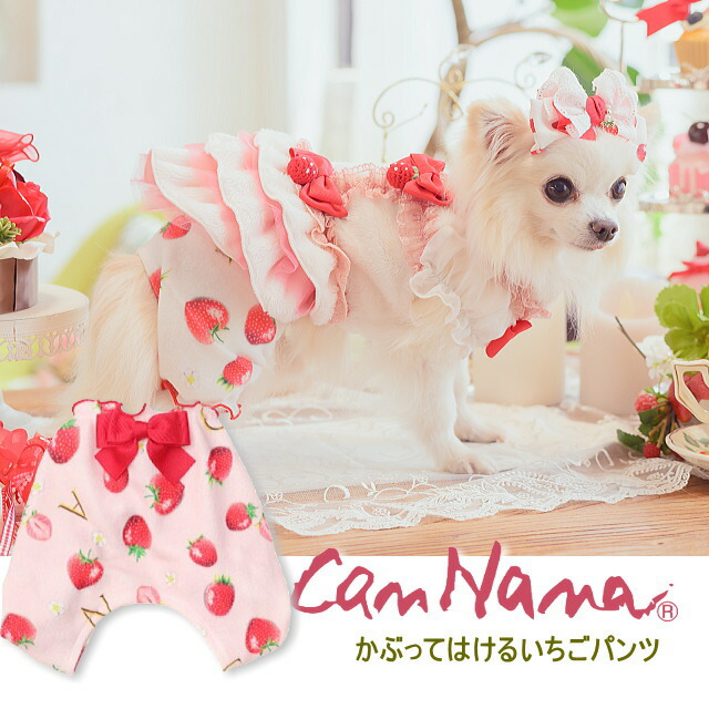 楽天市場】新作 犬服 冬服 冬物 【きゃんナナ】冬いちごデコレーション