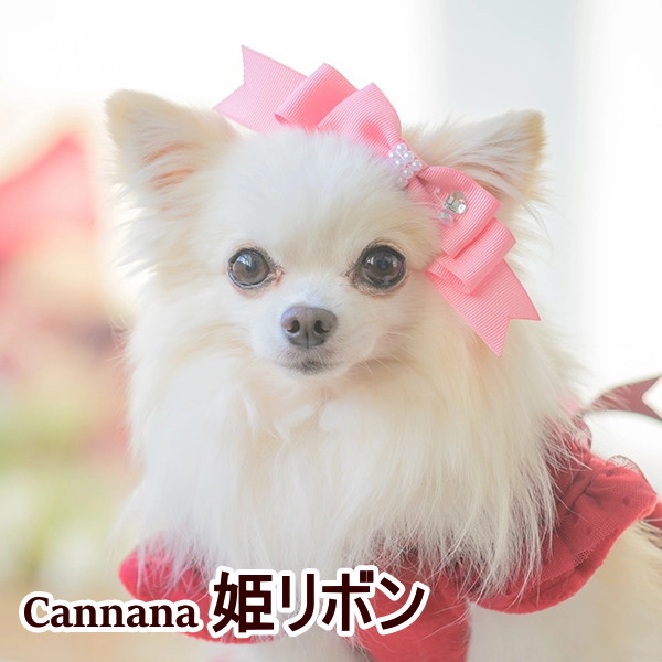 楽天市場】猫 犬アクセ 犬のアクセサリー 犬のリボン CanNana 【きゃん