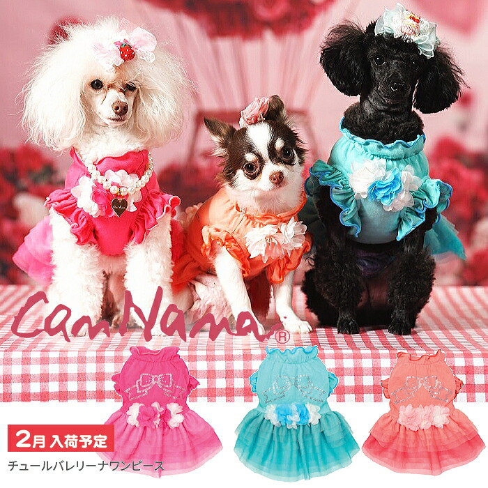 犬服 春 夏 ワンピース キャンナナ チュールバレリーナワンピース SS-Lサイズ 小型犬 ピンク 新作 ブルー オレンジ Cannana 2月入荷予定|犬服通販*じゃんぐるぺっと