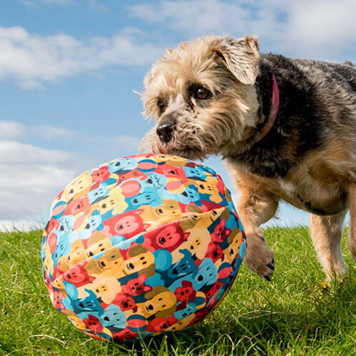 楽天市場 ダッドウェイ Petbloon ドッグ バルーン風船 おもちゃ ボール ぼーる 犬用 犬服通販 じゃんぐるぺっと