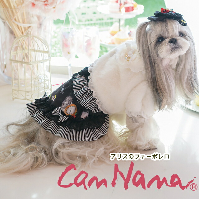 楽天市場】【クーポン配布中】ハロウィン ドレス CanNana きゃんナナ パーティーブラックドレス LLサイズ 黒 犬服 犬 服 女の子 小型犬  ワンピース イベント ハロウィーン Halloween 仮装 コスプレ : 犬服通販＊じゃんぐるぺっと