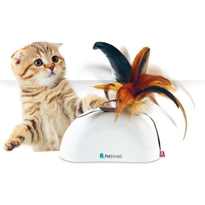 191円 ★新春福袋2021★ GiGwi ギグウィ 猫用おもちゃ ラタンボールパーティー 191円 ★新春福袋2021★ GiGwi ギグウィ 猫用おもちゃ ラタンボールパーティー