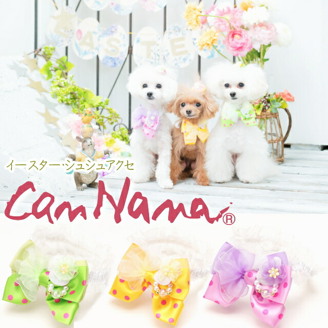 楽天市場】犬 チョーカー CanNana 【きゃんナナ】ハートシュシュアクセ