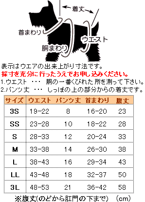 サイズ表