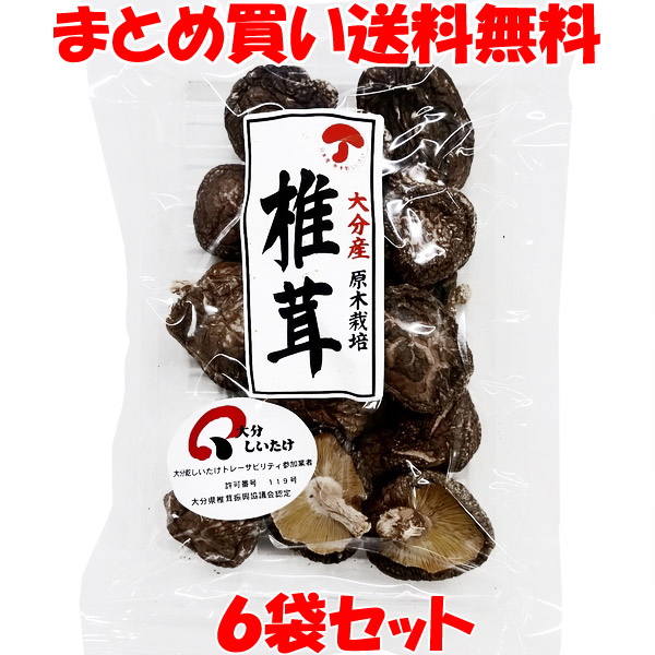 マルコ物産 大分産 原木椎茸 乾燥 40g×6袋セット まとめ買い送料無料