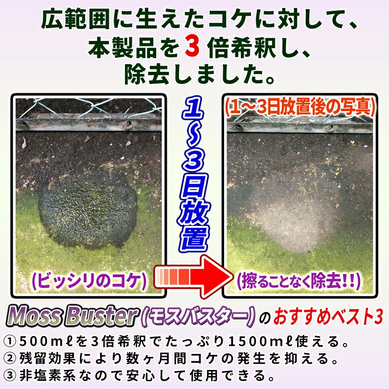 楽天市場 超強力 コケ落とし カビ取り 塩素不使用 コケ 白カビ 青カビ取り剤 Moss Buster モスバスター 500ml 長期間の残留効果で数ヶ月間コケ カビの繁殖を抑えます 特許製法の高濃度仕様 3倍まで希釈可能 純閃堂楽天市場店