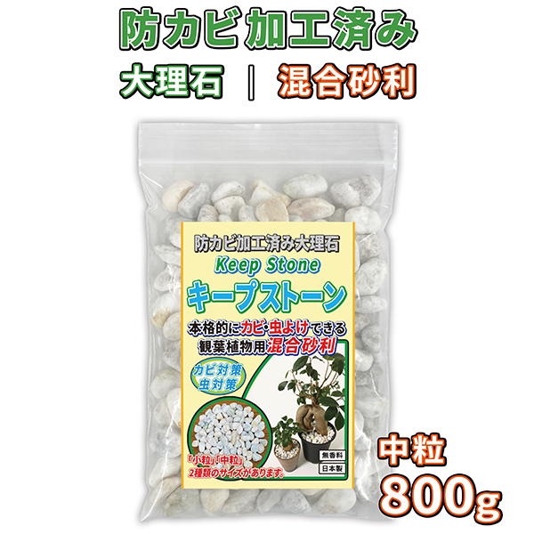 楽天市場】植物 観葉植物 白玉砂利 中粒 400g 防カビ加工済み大理石