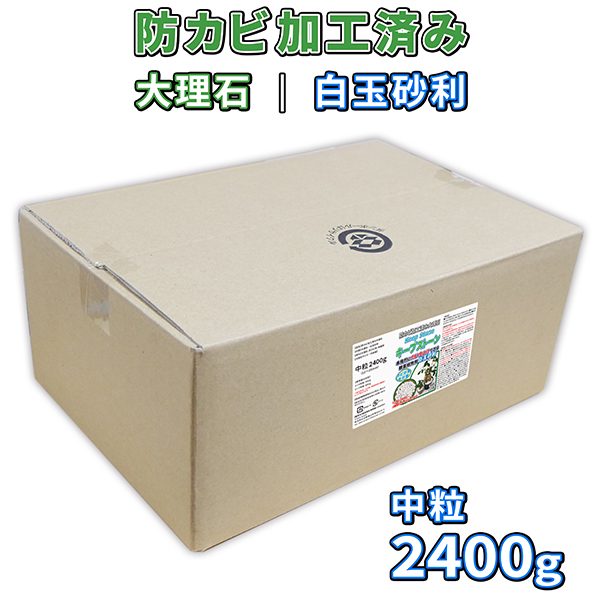 楽天市場 植物 観葉植物 白玉砂利 中粒 4800g 防カビ加工済み大理石 キープストーン 防カビ加工した化粧石で土のカビ防止 植木鉢 プランターの カビ対策とカビ予防 部屋 室内 屋外の観葉植物を白カビからガードしてインテリアを維持 マルチング材や虫よけにも