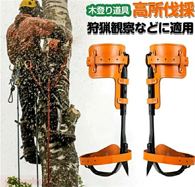 木上り勾配御先棒 山登り用の靴 庭木 木上り勾配器 極山登りスパイク 果物選ぶ 多役立つこと 304ステンレス鋼鋼 材質 耐用 科学の科目青写真 揺るぎ無い耐荷重力 携帯型 当て嵌める飾り気の無い 狩り立てる見ること 山登りなどに当て嵌める木上り勾配器 木上り勾配御先棒 木上り勾配御先棒 木上り勾配器