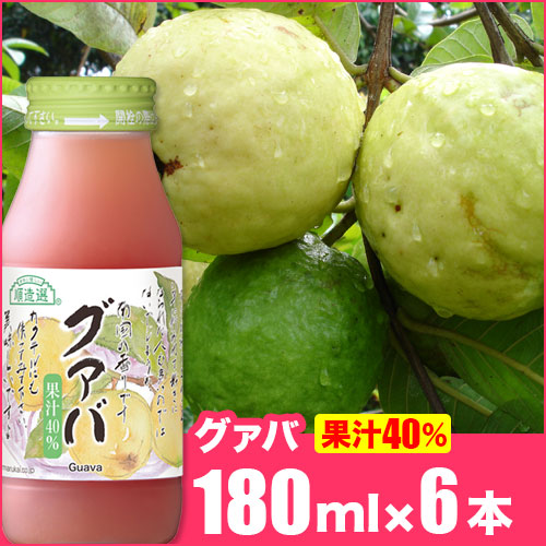 楽天市場 ポイント5倍 最大2500円引クーポン 3 4 00 3 11 01 59 順造選 グァバ 果汁40 グァバジュース 500ml 3本入りセット グアバジュース グアバ 順造選オンラインショップ