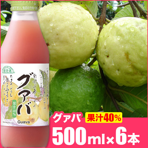 【楽天市場】【国内線JALファーストクラス採用商品】順造選 グァバ 500ml×12本入りセット 送料無料 果汁40％グァバジュース グアバジュース  グアバ : 順造選オンラインショップ