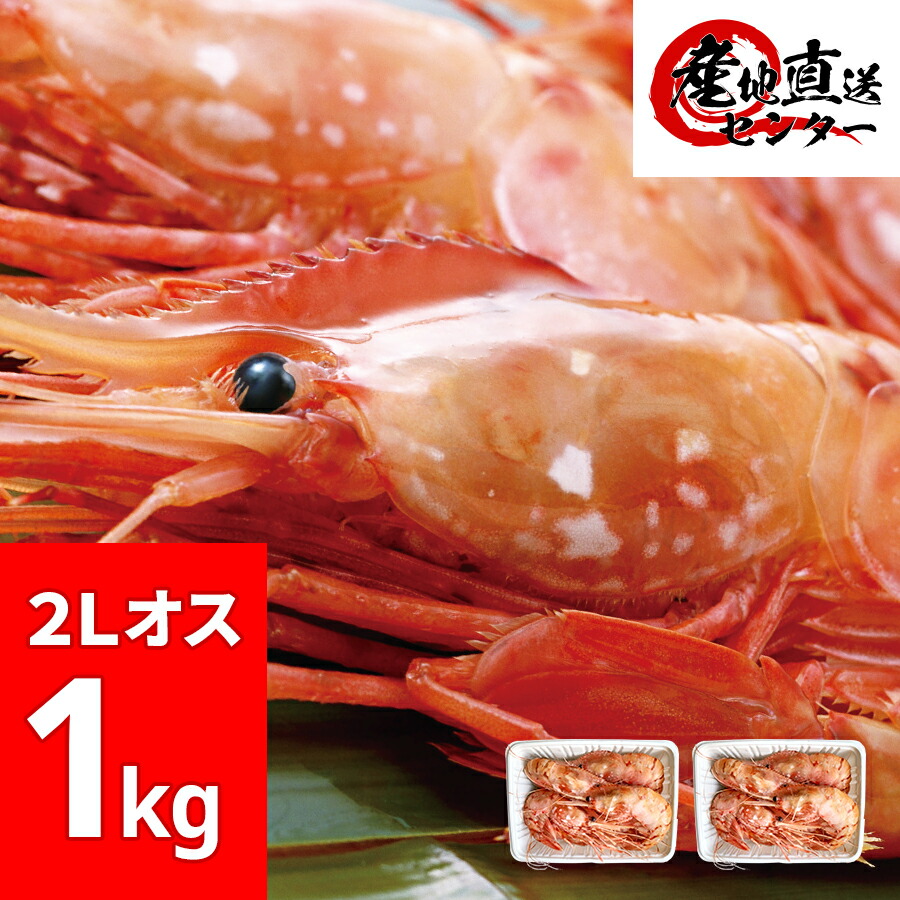 楽天市場 特大ボタンエビ 2lサイズ 500g 9 11尾 送料無料 北海道 お取り寄せグルメ 牡丹海老 えび 海老 食品 食べ物 海鮮 海産物 バーベキュー q お刺身 トヤマエビ リピート率no 1 スーパーセール タイムセール 島の人 礼文島の四季 北海道ギフト