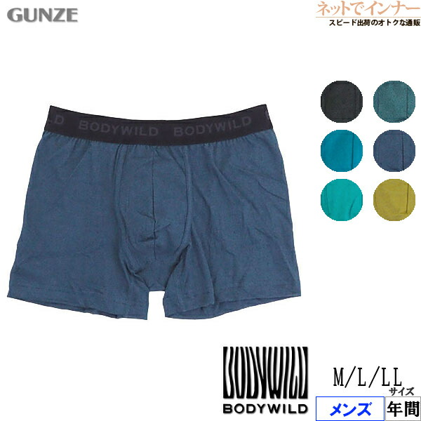 楽天市場】20%OFF GUNZE グンゼ BODY WILD STANDARD ボディワイルド