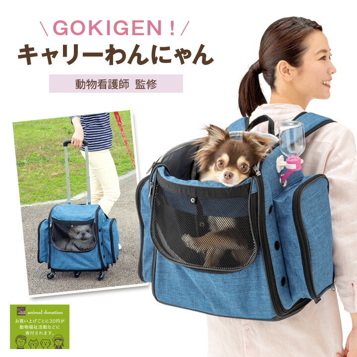 至高 Gokigen キャリーわんにゃん 犬 猫 ペット用品 リュック キャリー カート ケージ おでかけ 散歩 日常 ドライブ 帰省 災害時 自然災害 避難 同行避難 Fucoa Cl