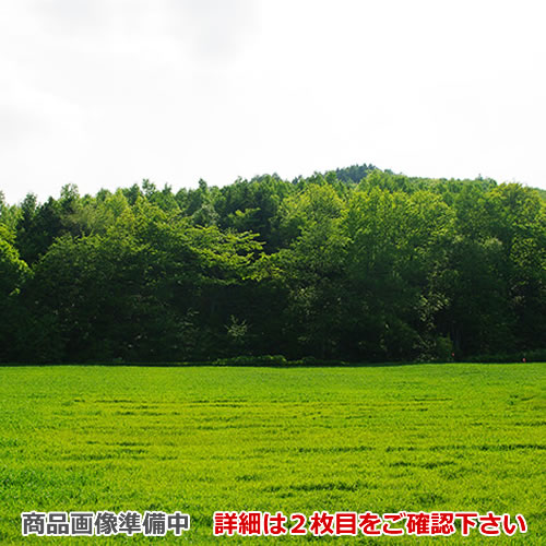 [CS-ZWAKU60]三菱 IH暖房器オプション ビルトはたご屋型用据え付ける用枠 とっ始め幅：60珊【貨物輸送無料】