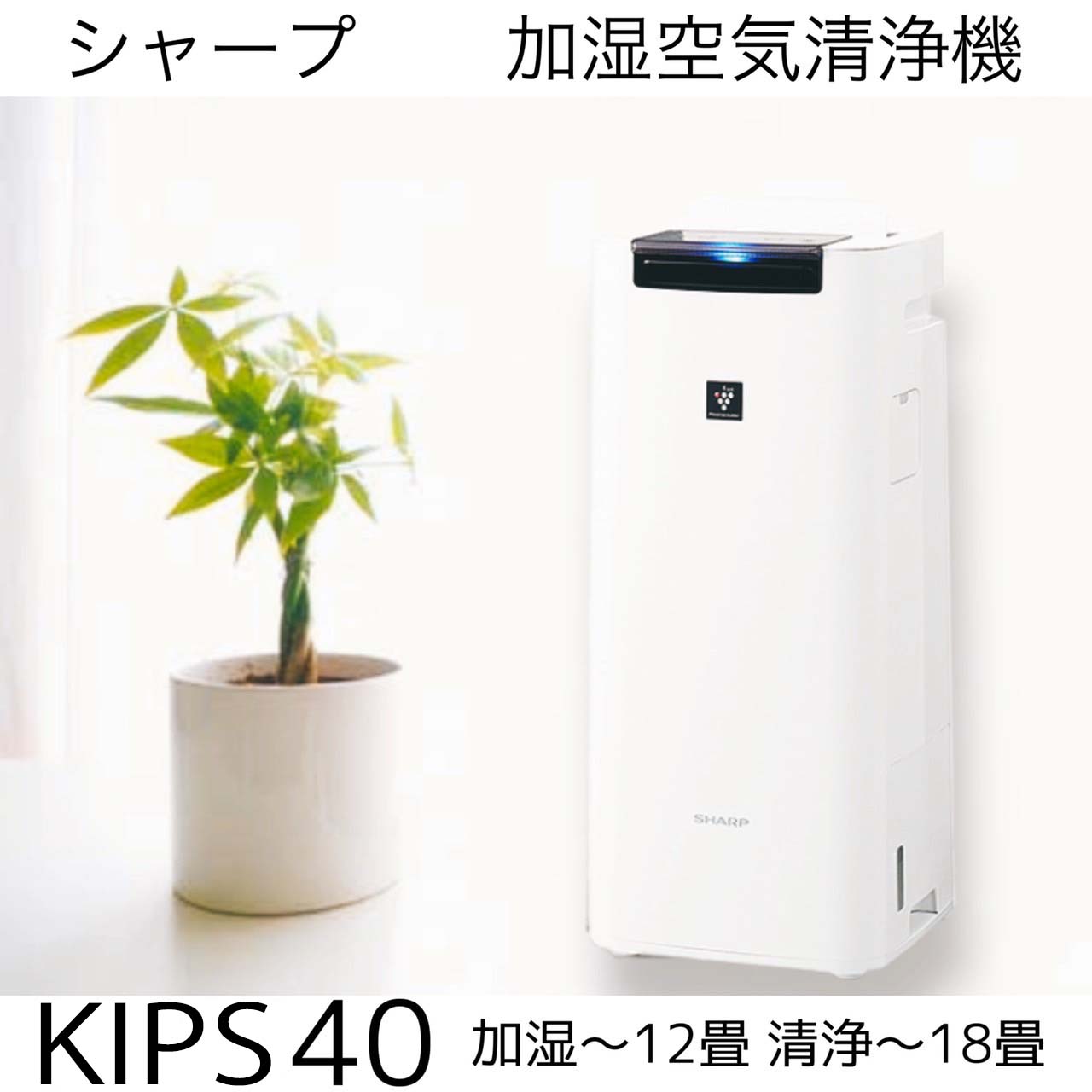 SHARP 空気加湿清浄機　KI-PS40-W WHITE