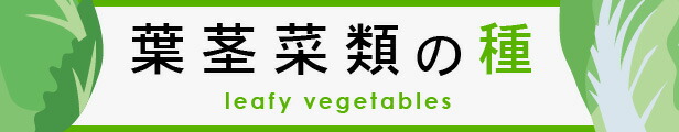 楽天市場】 メーカー別 > 種苗01 > ツルタのタネ : 全国種苗出荷センター