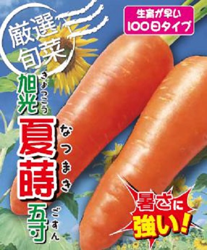 旭光夏蒔五寸 1L ニンジン にんじん 人参 【アサヒ農園 種 たね タネ 】【通常5倍 5のつく日はポイント10倍】｜全国種苗出荷センター