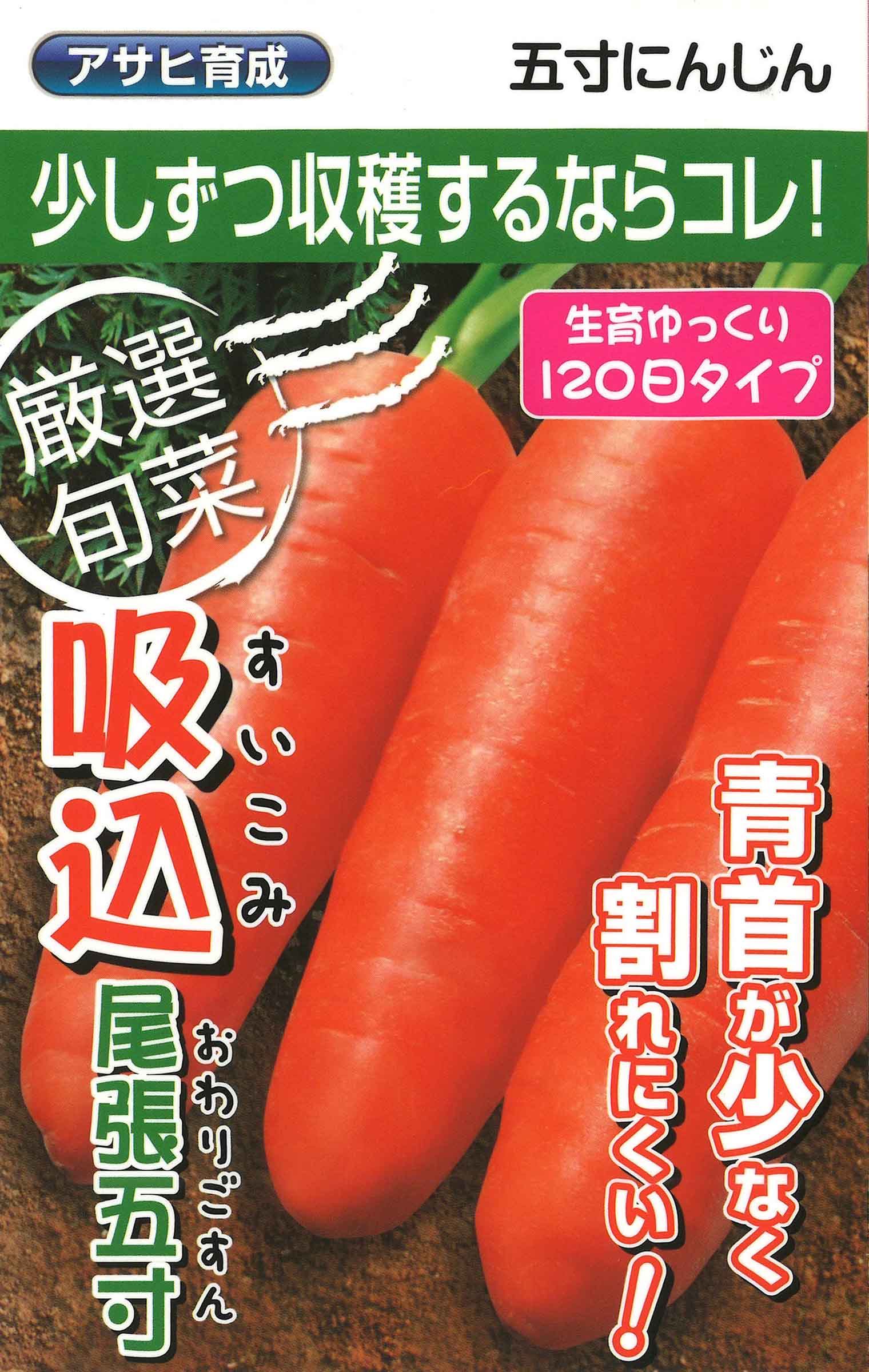 吸込尾張五寸 1L ニンジン にんじん 人参 【アサヒ農園 種 たね タネ 】【通常5倍 5のつく日はポイント10倍】
