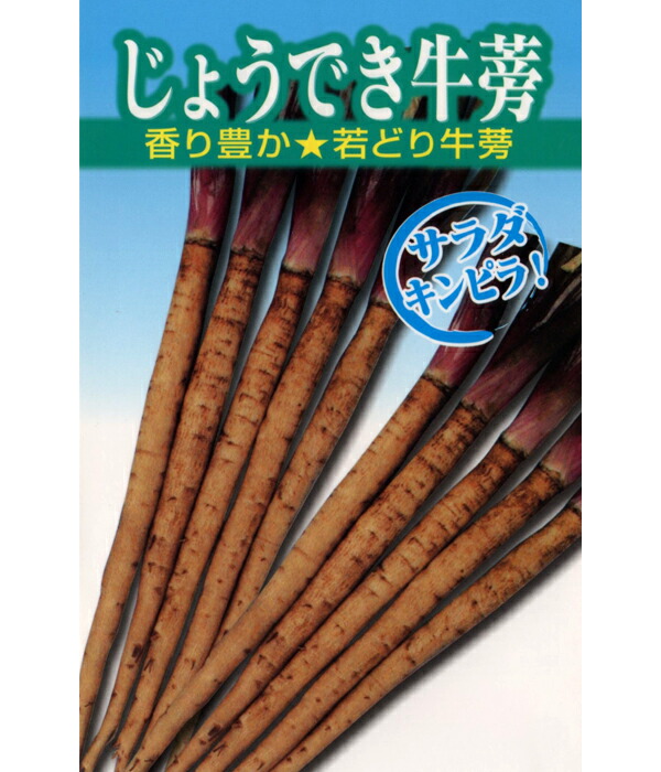 じょうでき 1L  ゴボウ 牛蒡 ごぼう 【アサヒ栽培所 種 たね タネ 】【押し並べて5倍 5のつく日は尖んがり10倍】 野菜の種子-種子