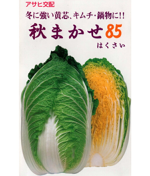 秋まかせ85 20ml 白菜 ハクサイ はくさい 【アサヒ農園 種 たね タネ 】【通常5倍 5のつく日はポイント10倍】