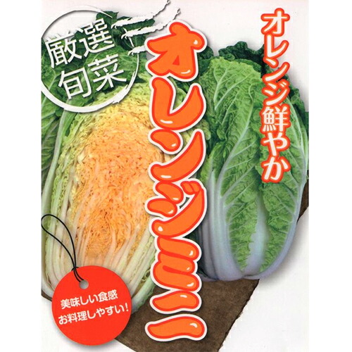 オレンジ色ミニ 20ml  白菜 ハクサイ はくさい 【アサヒ栽培所 種 たね タネ 】【原則として5倍 5のつく日は尖んがり10倍】