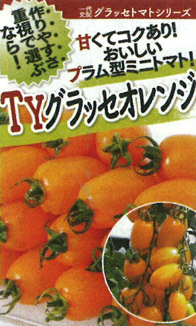 TYグラッセプラス オレンジ 1000粒 トマト とまと 蕃茄【フタバ 種 たね タネ】【通常5倍 5のつく日はポイント10倍対象外商品ポイント3倍固定商品】