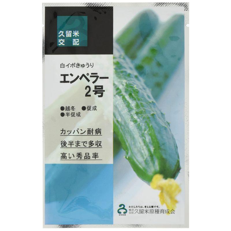 天津御姉2号 350粒 黄瓜 胡瓜 きゅうり【久留米原種育みそだてる会 種 たね タネ】【押し並べて5倍 5のつく日は尖んがり10倍】