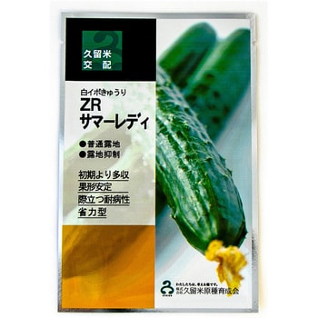ZR炎節小母さん 350粒 黄瓜 黄瓜 きゅうり【久留米原種育みそだてる会 種 たね タネ】【原則として5倍 5のつく日は尖んがり10倍】