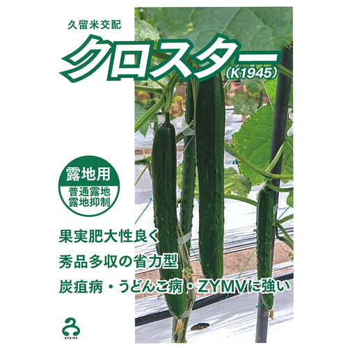 クロスター 350粒 胡瓜 キュウリ きゅうり【久留米原種育成会 種 たね タネ】【通常5倍 5のつく日はポイント10倍】