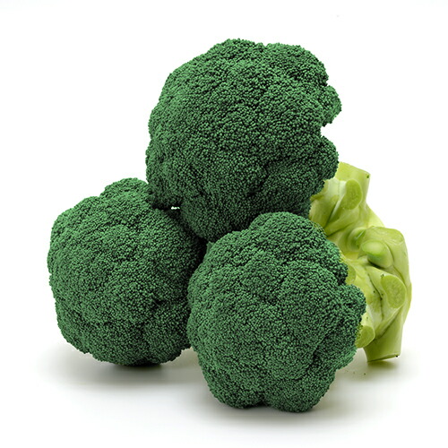 楽天市場】BL-456 5000粒(Lコート) ブロッコリー 【ブロリード 種 たね