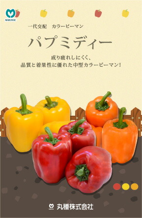 パプミディーゴールド 100粒　 ピーマン ぴーまん 一代交配　【丸種 種 たね タネ】【通常5倍 5のつく日はポイント10倍対象外商品ポイント3倍固定商品】