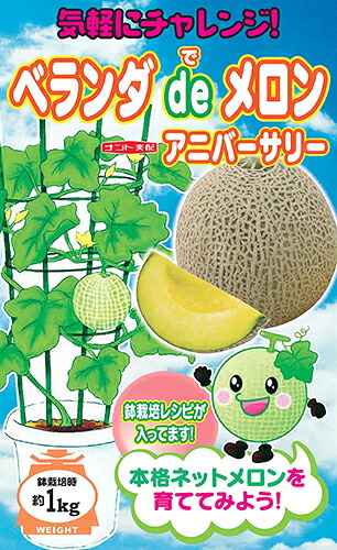 緑肉　アニバーサリー（ベランダdeメロン） 100粒 めろん メロン 舐瓜 【ナント 種 たね タネ 】【通常5倍 5のつく日はポイント10倍】