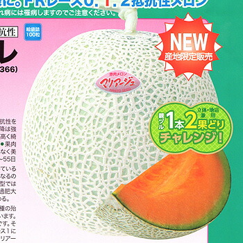 マリアージュルフレ 100粒 めろん メロン 舐瓜 【ナント 種 たね タネ 】【通常5倍 5のつく日はポイント10倍】