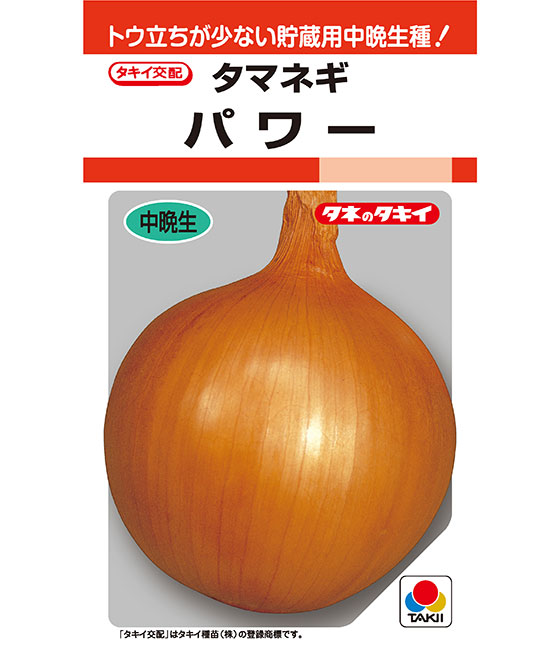 力強さ玉ねぎ タキイ掛け合わせ 2デシリットル 玉葱 たまねぎ 玉ねぎ 玉ねぎ【タキイ 種 たね タネ】【原則として5倍 5のつく日は尖んがり10倍】