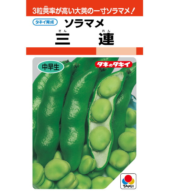 三連蚕豆 タキイ育成 1L 枝豆 えだまめ エダマメ【タキイ 種 たね タネ】【通常5倍 5のつく日はポイント10倍】