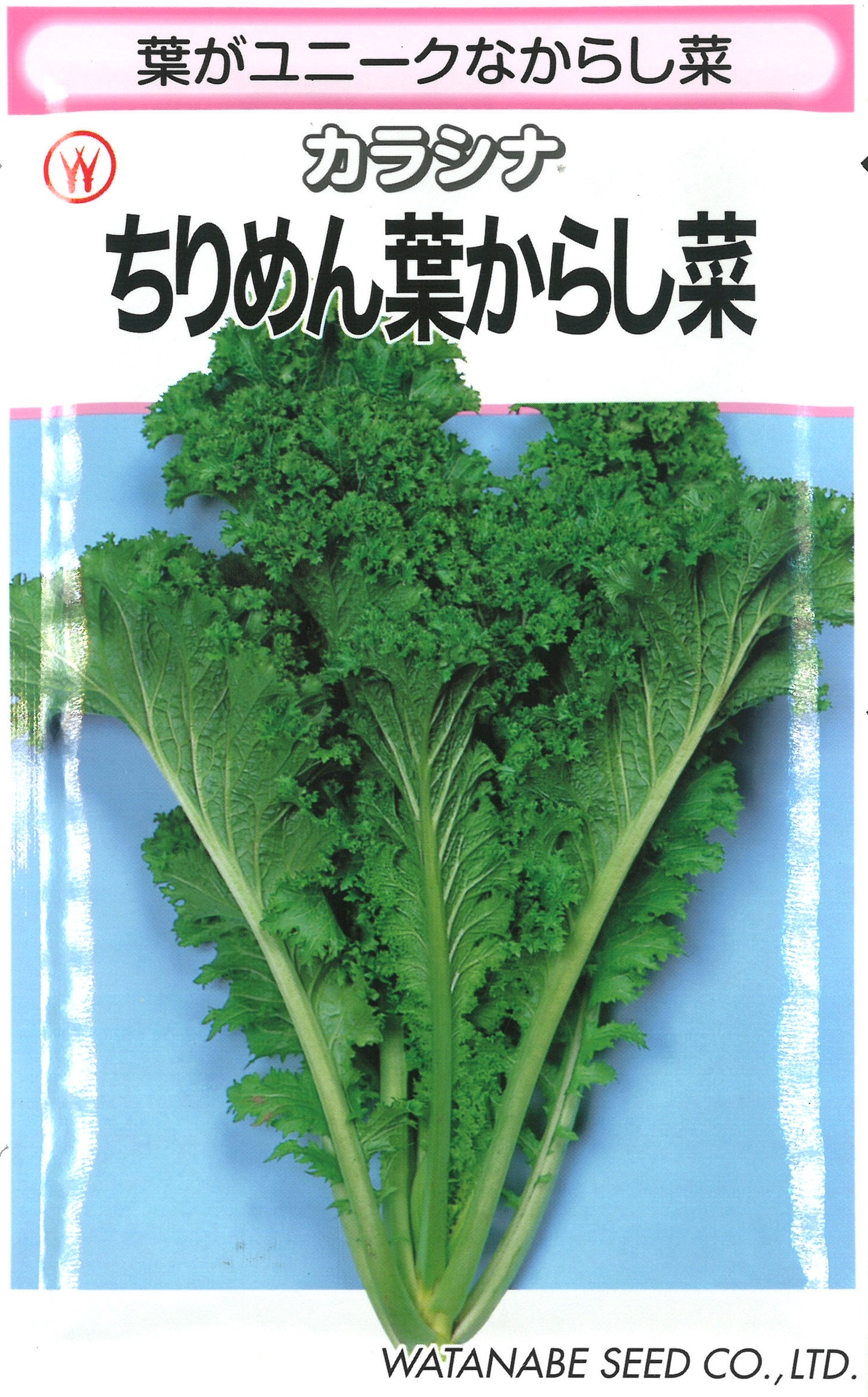 【楽天市場】ちりめん葉からし菜 1dl からし菜 カラシナ からしな【渡辺採種場 種 たね タネ 】【通常5倍 5のつく日はポイント10倍 ...